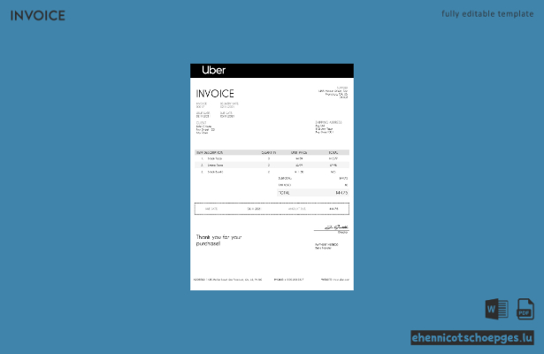 Beispiel einer Uber-Rechnung in den USA (Vorschau)
